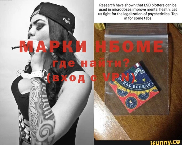 прущие грибы Дедовск