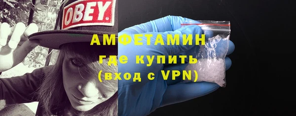 прущие грибы Няндома