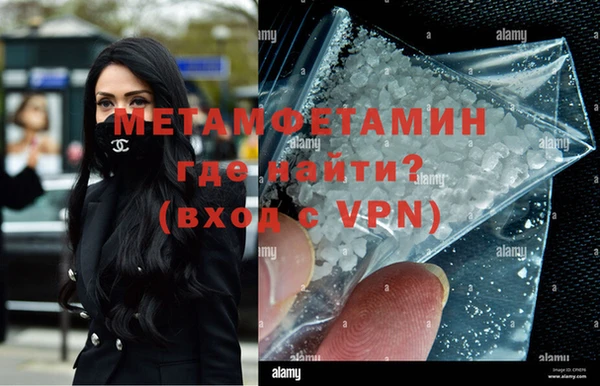 прущие грибы Няндома