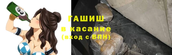 прущие грибы Няндома