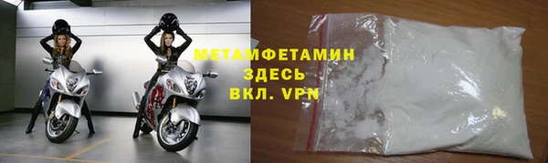 прущие грибы Няндома
