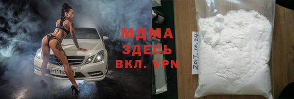 прущие грибы Няндома