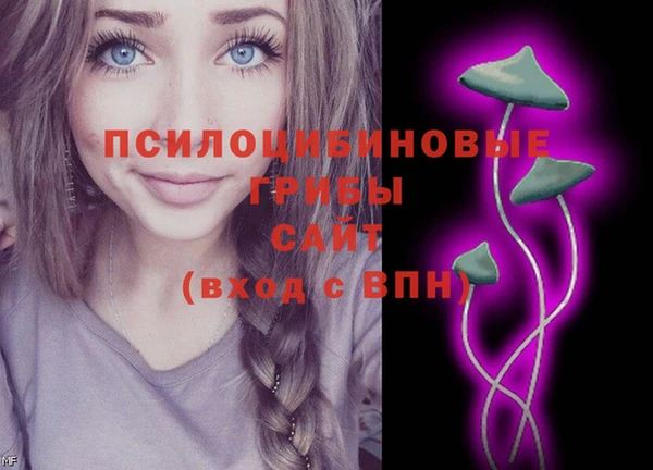 прущие грибы Няндома