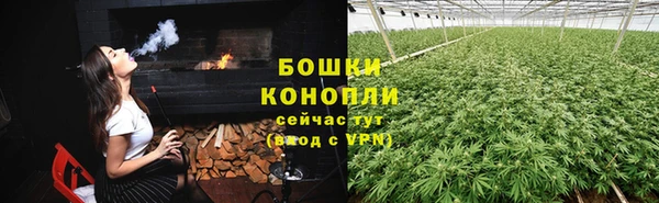 прущие грибы Няндома