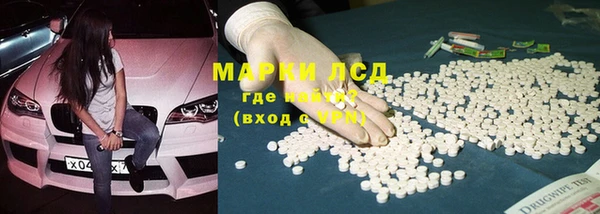 прущие грибы Няндома