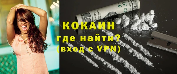 прущие грибы Няндома