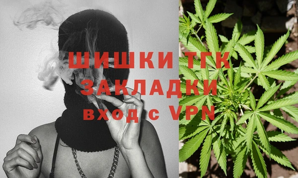 прущие грибы Няндома