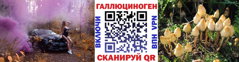 Псилоцибиновые грибы Psilocybine cubensis  Купить где  Дегтярск 
